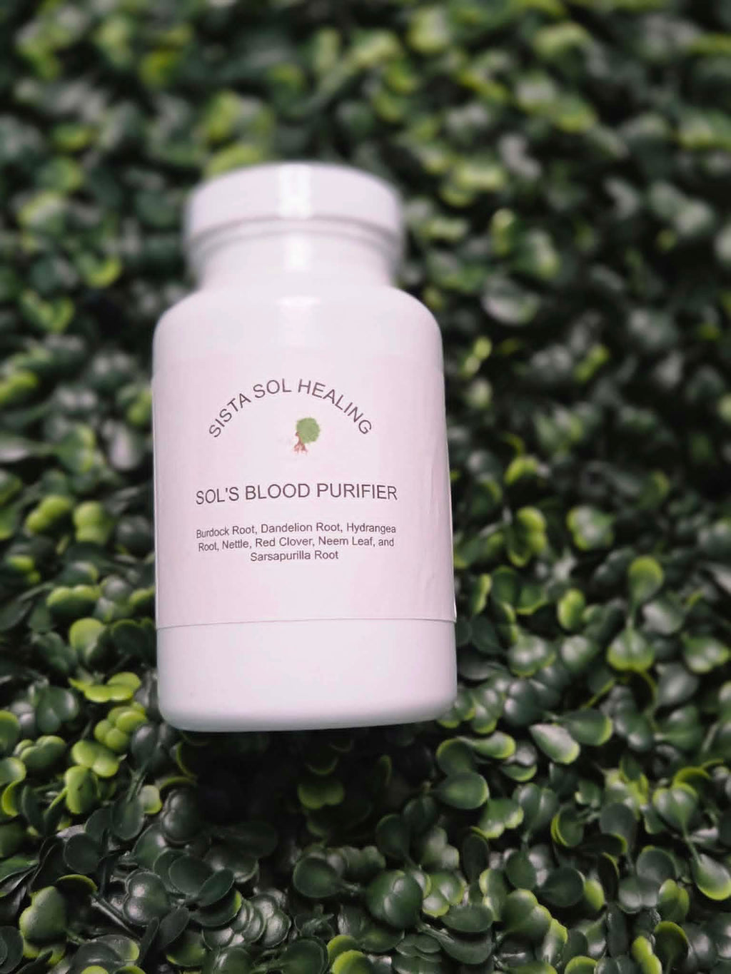 Sol's Blood Purifier