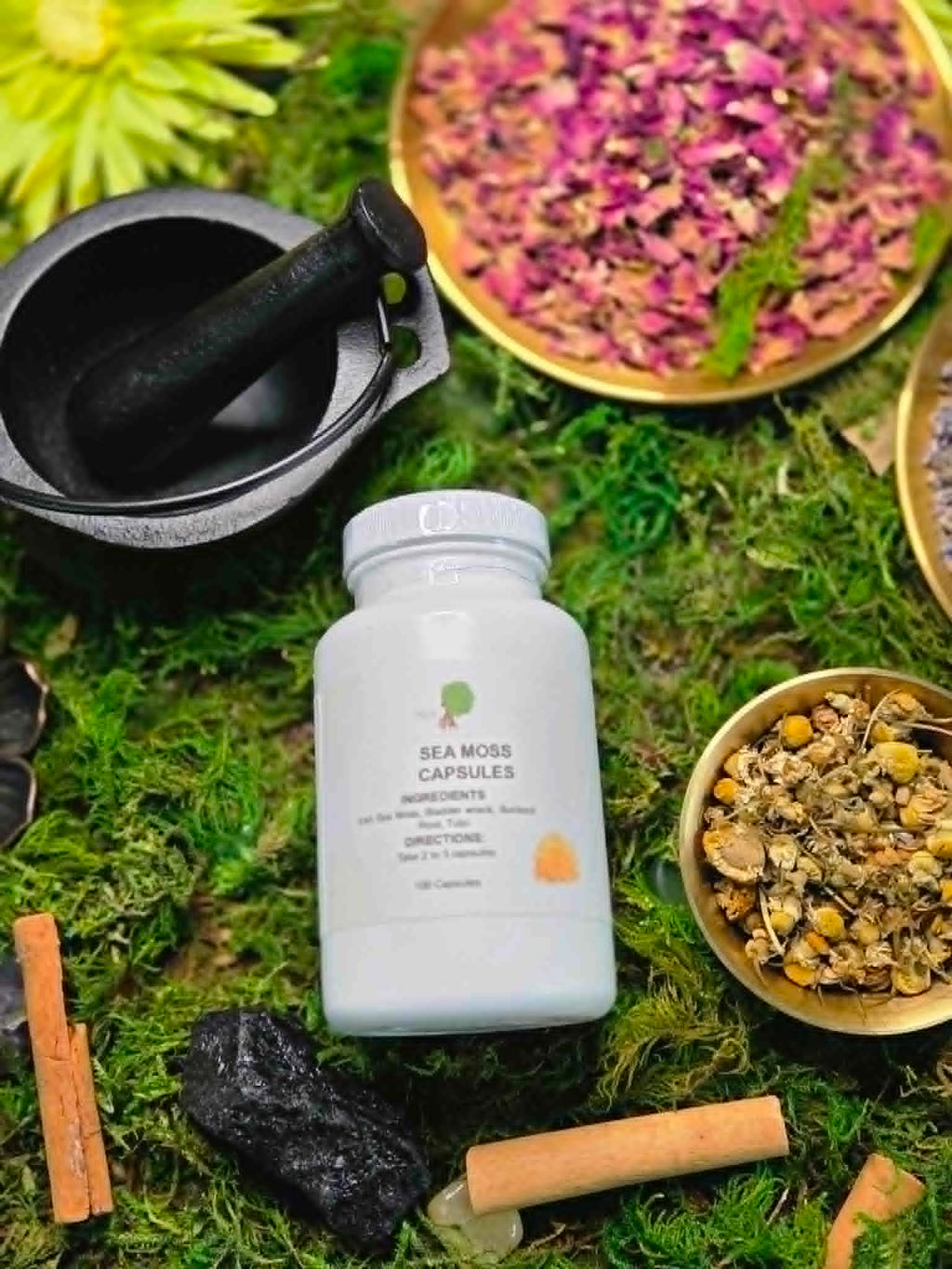 Sea Moss, Bladderwrack, Burdock Root & Tulsi Capsules